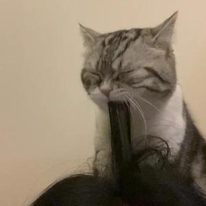 帝帝有话说1-100
