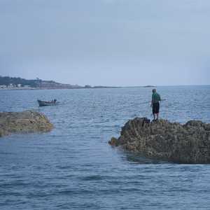 帝帝有话说1-100
